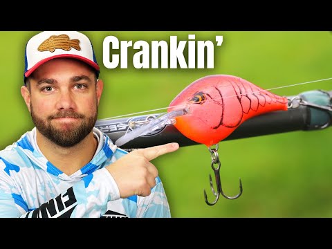 Видео: Почему вас НЕ клюют на воблеры