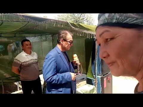 Видео: Аллабай Абдужали Кызылозекде тойда Шымбай ВИА Толкын 26.04.2023ж.