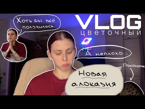 Видео: VLOG: распаковка и пересадка новых алоказий