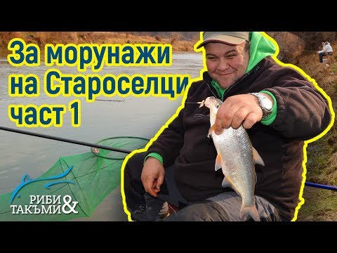 Видео: За морунажи на Староселци - част 1