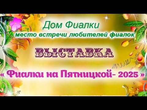 Видео: Обзор выставки Фиалки на Пятницкой-2025 в Доме Фиалки,  Московские коллекционеры 19-29 сентября 2025