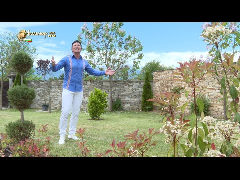 Видео: Светослав Стойчев - Мома Елена