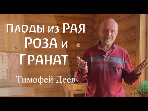 Видео: Плоды из Рая. Роза и Гранат в свете духовно-научных изысканий. Тимофей Деев