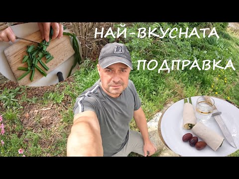 Видео: НАЙ-ВКУСНАТА ПОДПРАВКА HONEY GARLIC Nectaroscordum #herbs #spices #mediterranean #мезе #foraging