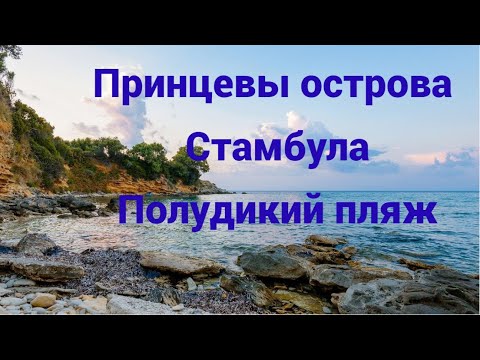 Видео: Пляж 🌊☀полудикий Принцевы острова Стамбула @HelenLin1