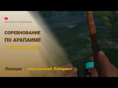 Видео: Fishing Planet - Соревнование по Арапаиме (разница в весе) на локации Амазонский Лабиринт