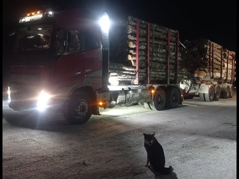Видео: Лесовозы Вольво и Скания. Под "ЧЁРНЫМ" флагом.