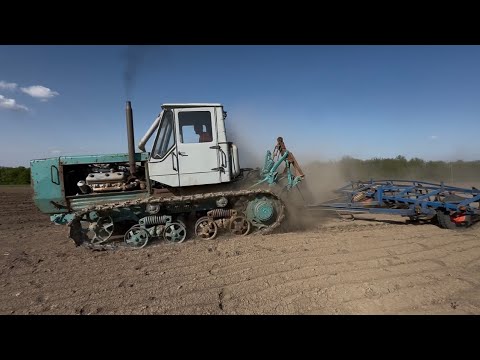 Видео: Культивация трактор т 150 гусеничный мотор ямз 236 турбо 😁