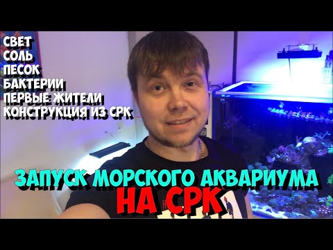 Видео: #6 Запуск морского аквариума (сухой рифовый камень)