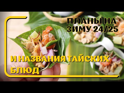 Видео: Тайские названия блюд и планы на зиму 2024/25