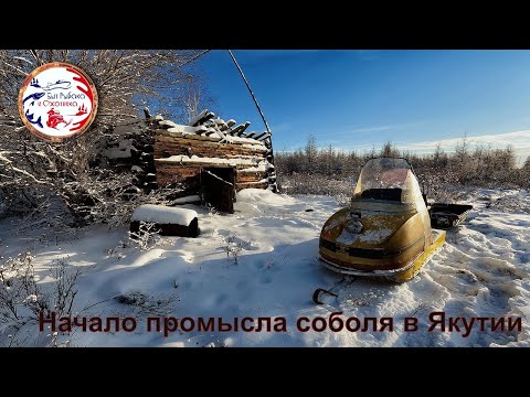 Видео: Насторожка капканов на соболя. Промысел в Якутии. Пробуем ловить карася. Часть 2.