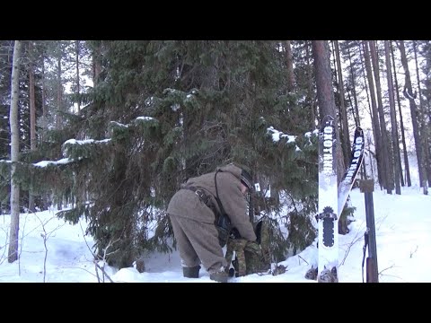 Видео: ОХОТА НА КУНИЦУ КАПКАНАМИ 2022 / УСТАНОВКА КА-2у НА ЖЕРДИ