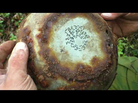 Видео: Коп в лесу от 2019. Александр(реставратор)№262