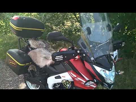 Видео: Почему Я,пересел с BAJAJ-BOXER-125X на PULSAR-NS200-NEW.