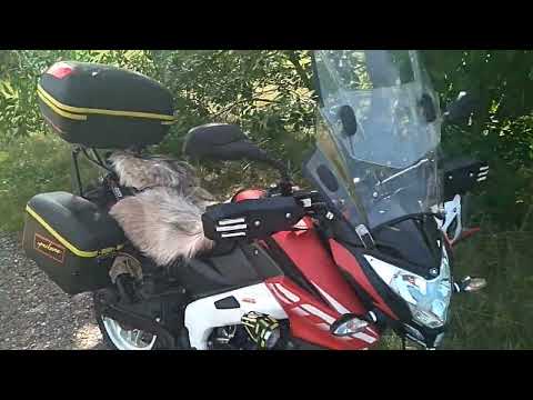 Видео: Почему Я,пересел с BAJAJ-BOXER-125X на PULSAR-NS200-NEW.