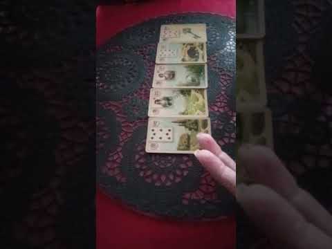 Видео: ЧТО УДИВИТ ВАС...