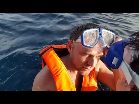 Видео: С мамой плаваем в  Красном море