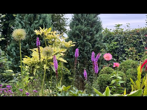 Видео: Садовые будни 🌟стригу, пересаживаю, обрабатываю 🌟 Клубничная клумба 🌟