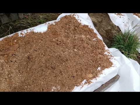 Видео: Укрыла клубнику🍓на зиму.Часть2.Перезимуем ли в -50гр и выше 🤔#огород #клубника 