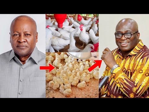 Видео: Вот почему NDC Nkoko Nkitinkiti — это гигантский прорыв: огромный завод в Бехеме — подробнее