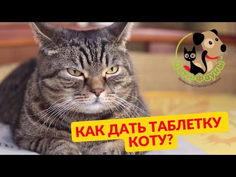 Видео: Как мы Сэмычу давали таблетку / Как дать таблетку кошке/ Три способа дать таблетку коту