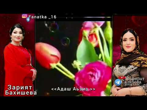 Видео: Зарият Бахишева «Адаш аьзиз»