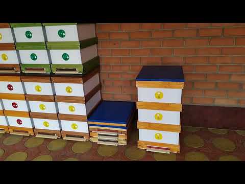 Видео: Прицеп для пчел. Улья из сендвича.