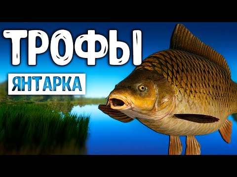 Видео: RF4 ТРОФЕЙ ЗА ТРОФЕЕМ ТОЛЬКО ТАК #рр4