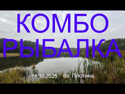 Видео: Комборыбалка. 08.10.2025. озеро Плотина. Рыбалка в Подмосковье.