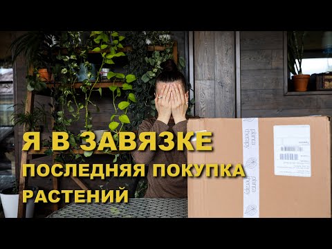 Видео: Последняя РАСПАКОВКА растений в этом году/ Антуриум от ДОК БЛОКА/ НЕОБЫЧНОЕ растение для меня.