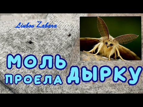 Видео: ДЫРКА от МОЛИ. 3 идеи, как зашить .