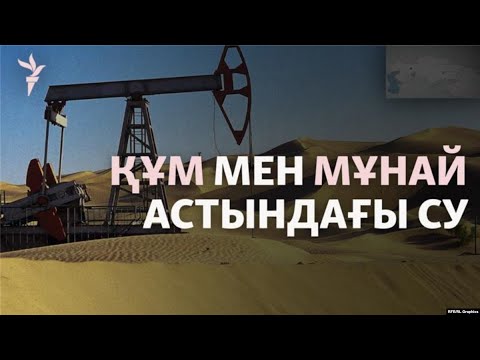 Видео: Мұнайдың жолында су құрбан. Көкжидедегі қорға қауіп бар ма?