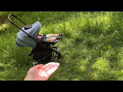 Видео: АСМР с внуком |Новая Квартира |Голос |Постукивания |ASMR with a grandson |Voice |Camera |Tapping