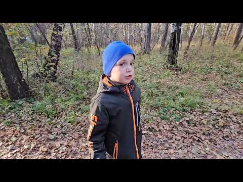 Видео: Шартаское#озеро#лес#природа#воздух #очень❤️