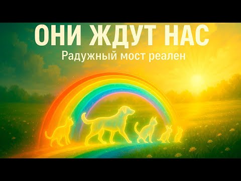 Видео: "РАДУЖНЫЙ МОСТ" реален: Куда попадают души наших питомцев после смерти | СВИДЕТЕЛЬСТВА МЕДИУМОВ