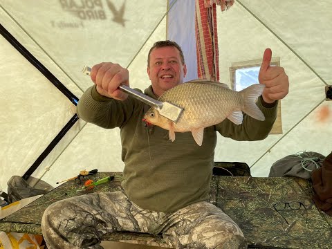 Видео: ЧАНЫ, снова гости в палатке!) Дом рыбака. Опять безумство карася!