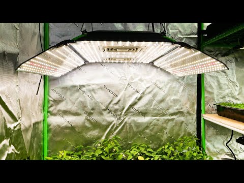 Видео: Обзор фитолампы с переменным спектром Vivosun AeroLight Wing AW400