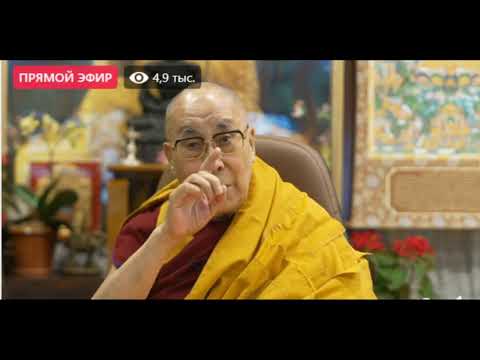 Видео: Далай Лам Багш-Билгүүний Зүрхэн судар-1 едер