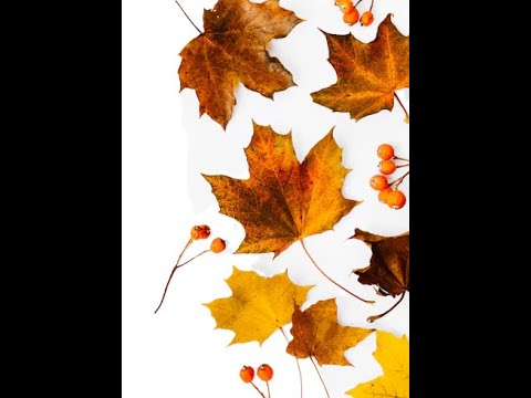 Видео: Поле думок Arc Riders