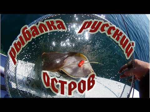 Видео: Морская рыбалка на камбалу остров Русский. Приморский край 07. 10. 2020.