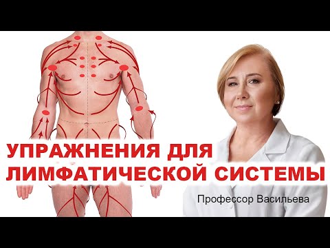 Видео: Простые упражнения для лимфатической системы (проф.Васильева)