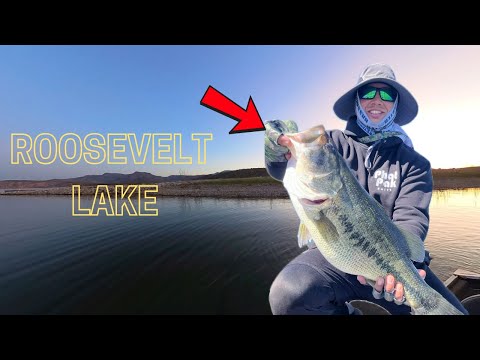 Видео: Эти рыбы просто зажжены! — PhatPak Baits Slam на озере Рузвельт