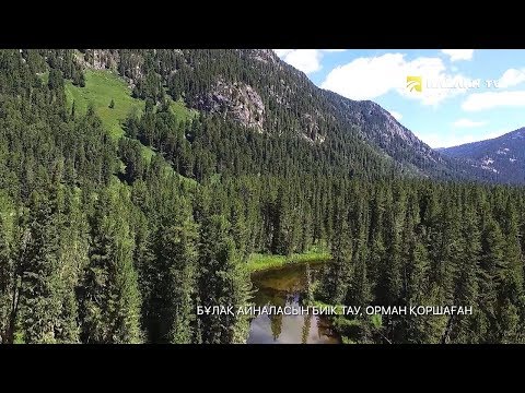 Видео: Шығыс Қазақстанның керемет табиғаты | Восточный Казахстан