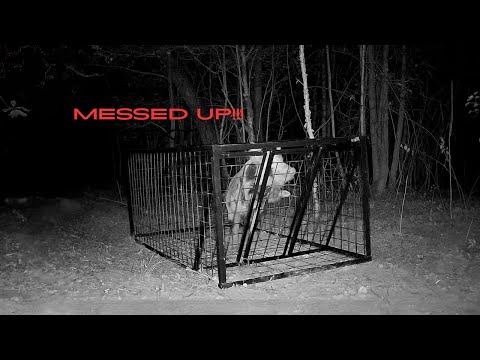 Видео: Мы ждали НЕДЕЛЮ!! Наконец-то он облажался... Сколько ОН весит??