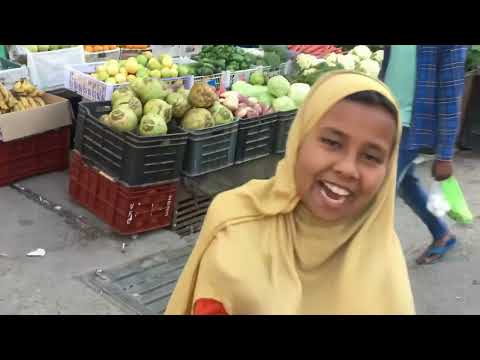 Видео: Перелётные птицы. Выпуск 30. Индия. Джамму и Кашмир