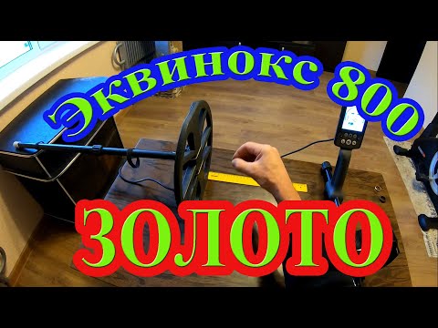 Видео: Как видит золото Эквинокс 800 в разных режимах поиска?! Коп с металлоискателем Эквинокс 800