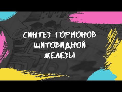 Видео: Синтез гормонов щитовидной железы.