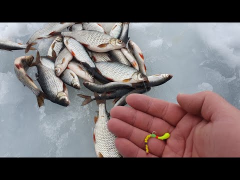 Видео: снасть Мотылёк