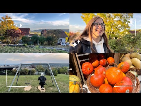 Видео: VLOG 🇩🇪 Гуляем по обзорным площадкам нашего города | Жизнь в Германии