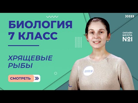 Видео: Хрящевые рыбы. Урок 19. Биология 7 класс